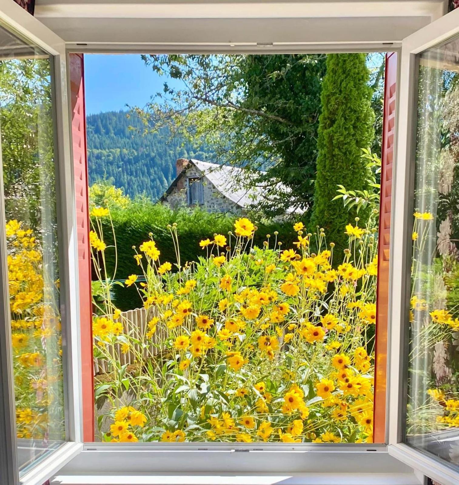 Hotel Restaurant Du Plomb Du Cantal مورات المظهر الخارجي الصورة