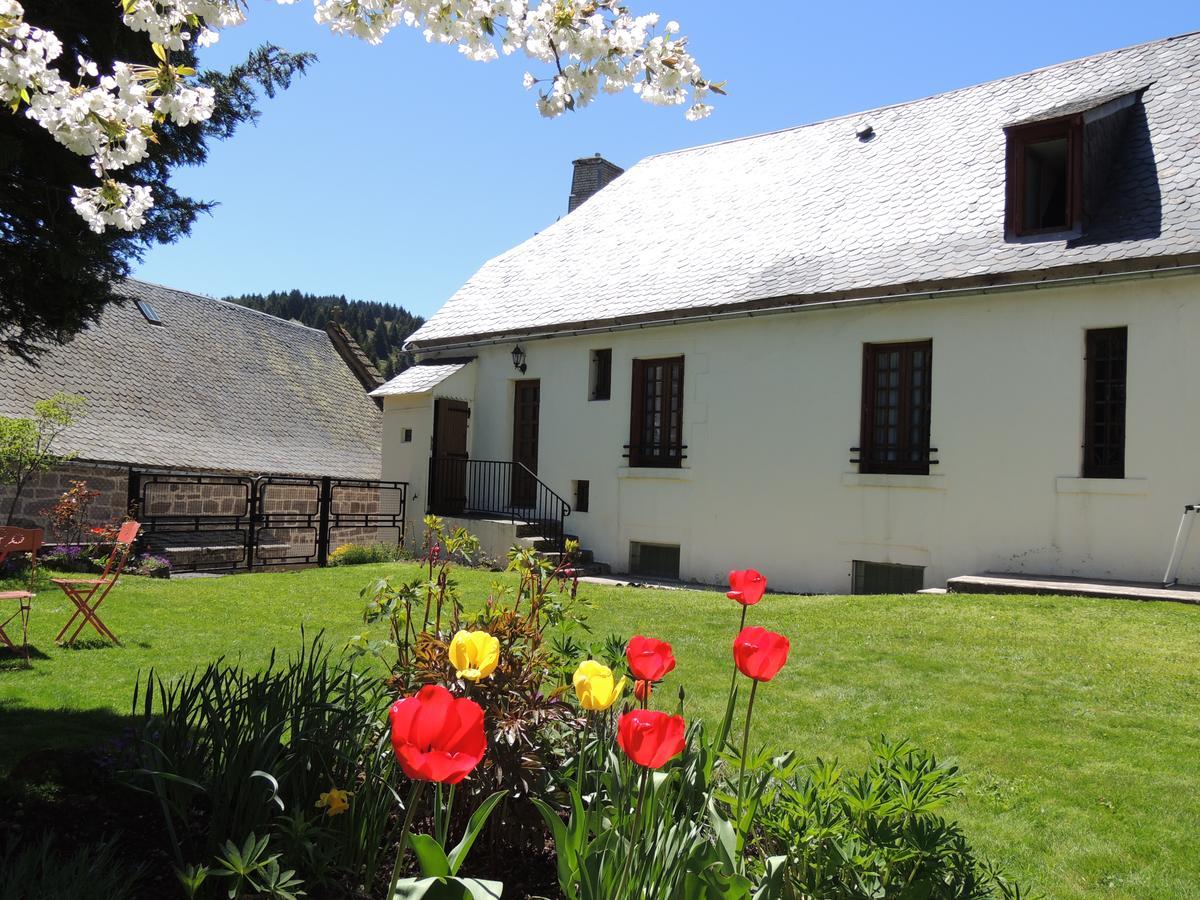 Hotel Restaurant Du Plomb Du Cantal مورات المظهر الخارجي الصورة